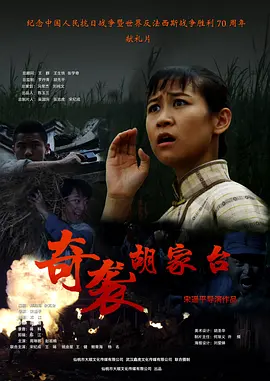 奇袭胡家臺